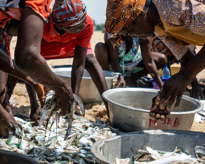 enterprise process activity overview