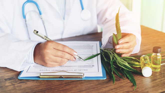 The Ultimate Guide to Dispensary Cannabis