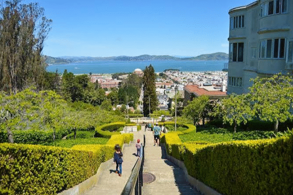 San Francisco's Hidden Gems
